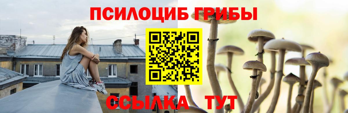 Уварово  Псилоцибиновые грибы MAGIC MUSHROOMS  Вход с VPN  как найти закладки  Галлюциногенные грибы Cubensis 